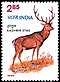 Stamp of India - 1982 - Colnect 169289 - Kashmir Stag Cervus elaphus affinis.jpeg