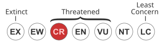 Critically Endangered (CR) species face an extremely high risk of extinction in the wild. Status iucn3.1 CR.svg