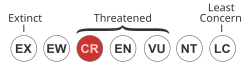 Status iucn3.1 CR.svg