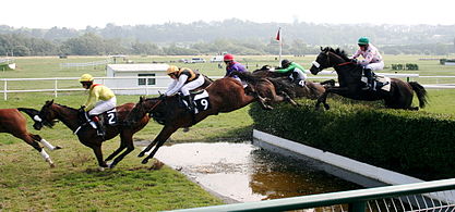 Překážky V Jezdeckém Sportu: Parkur, Steeplechase, Cross-Country