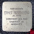 Ernst Rosenberg, Greifswalder Straße 210, Berlin-Prenzlauer Berg, Deutschland