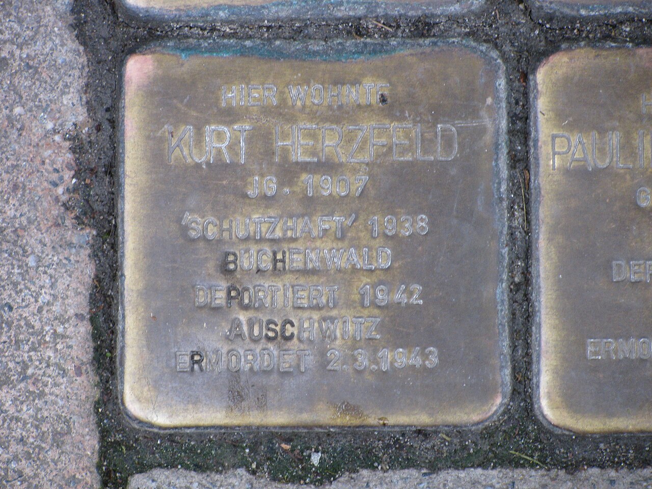 Stolperstein Kurt Herzfeld, 1, Marktstrasse 13, Steinheim, Landkreis Hoexter.jpg