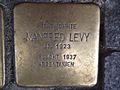 image=https://commons.wikimedia.org/wiki/File:Stolperstein_Neuss_Innenstadt_Büchel_48_Manfred_Levy.jpg