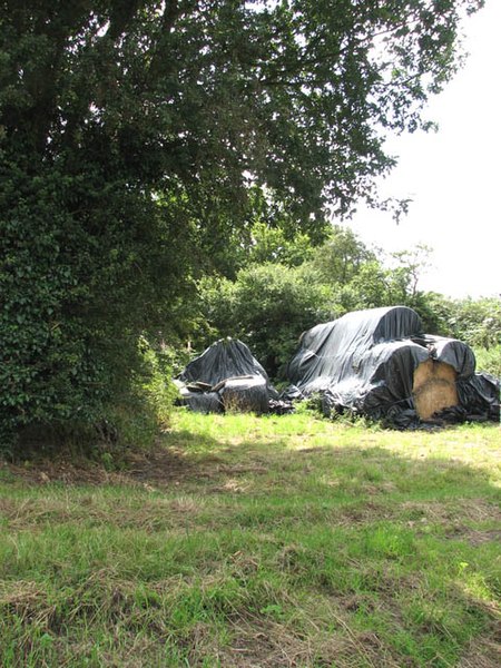 File:Straw bales stored under tarpaulin - geograph.org.uk - 1440699.jpg