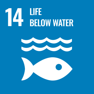 <span class="mw-page-title-main">Sustainable Development Goal 14</span> 14th of 17 Sustainable Development Goals to conserve life below water