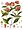 Syzygium Antisepticum: Loài thực vật