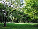 Grabowo Cemetery