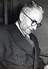 1960'larda Tahsin Banguoğlu. Jpg