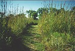 Vignette pour Tallgrass Prairie National Preserve