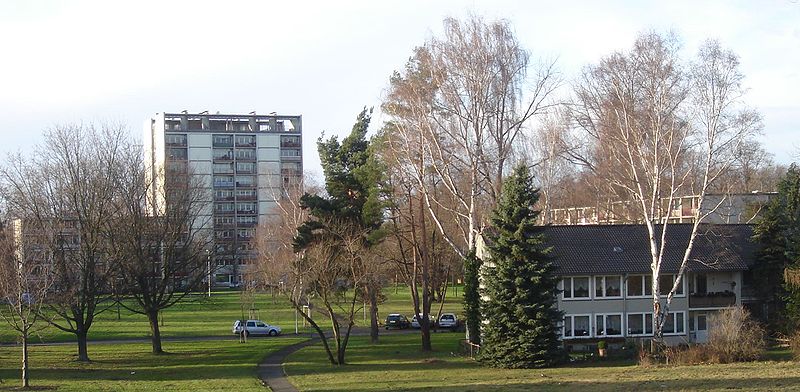 File:Tannenbusch Hohe Strasse.jpg