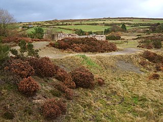 <span class="mw-page-title-main">The Bog</span>