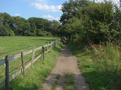 The Fox Way - geograph.org.uk - 3076933