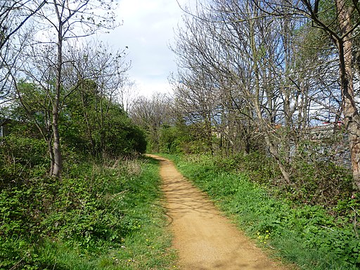 The Wandle Trail north of Plough Lane - geograph.org.uk - 2893756