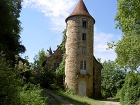 Havainnollinen kuva artikkelista Château du Roc