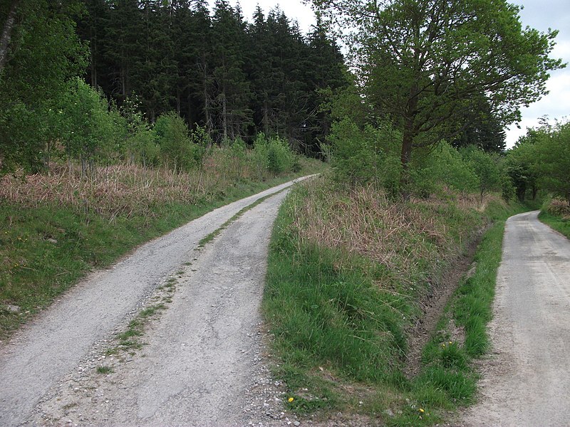 File:Tracks at Celyngoed - geograph.org.uk - 2970468.jpg