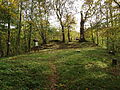 Castle ruins