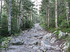 Tuckerman Ravine Trail