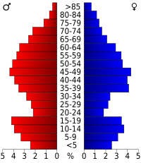 Leeftijdsstructuur.