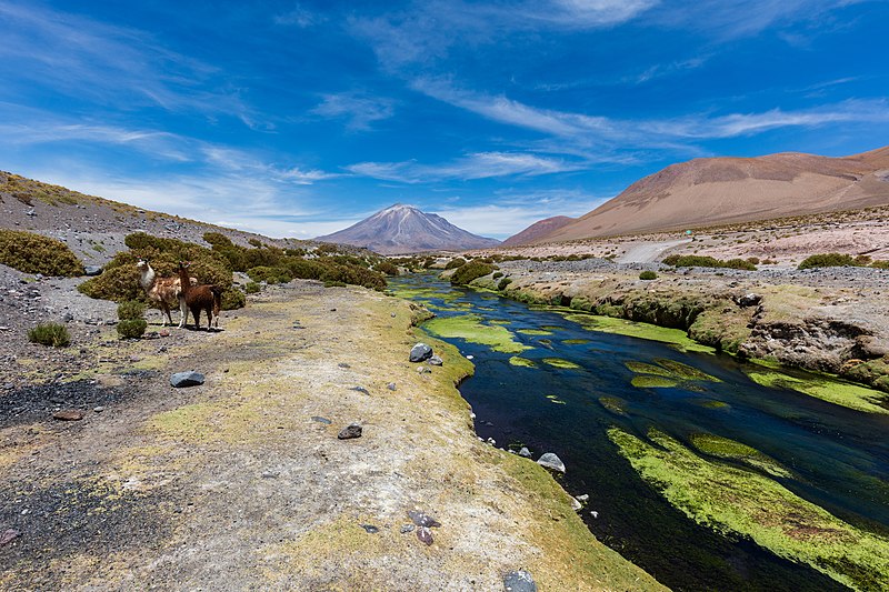 File:Volcán Paniri, Chile, 2016-02-09, DD 22.JPG