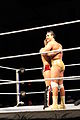 WWE Smackdown IMG 0367 (11705486996).jpg