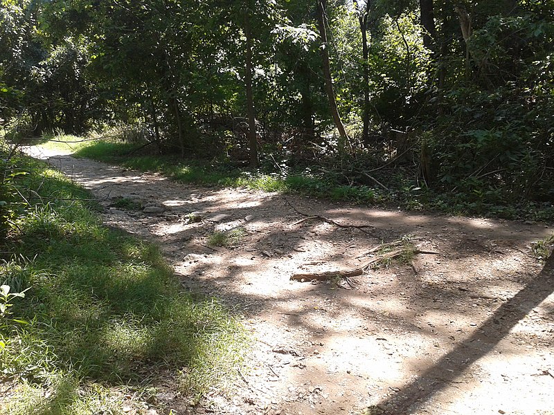 File:Walking trail, Theodore Roosevelt Island.jpg