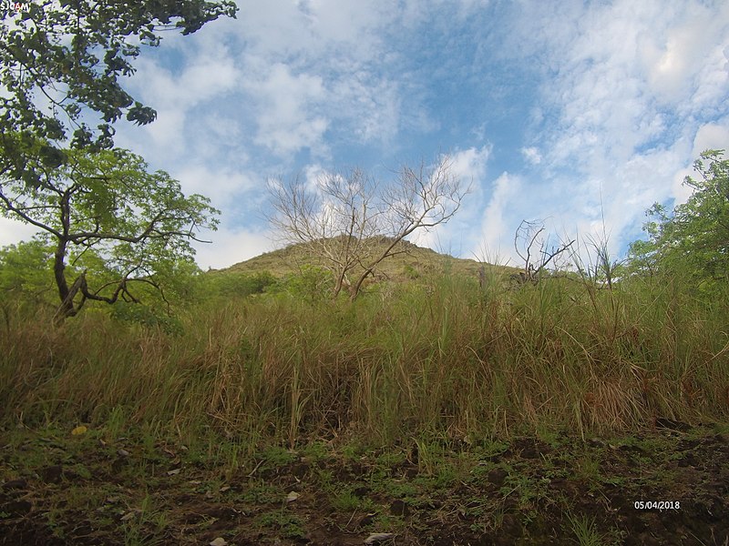 File:Walkway to the Old Volcano.jpg