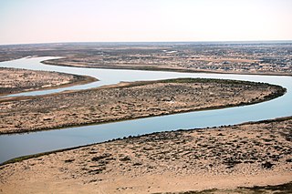 <span class="mw-page-title-main">Warburton River</span> River in South Australia