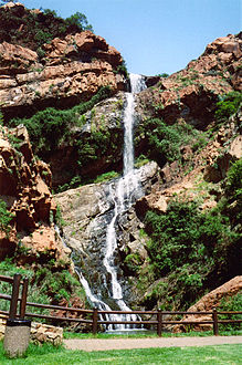 Waterfall, Witwatersrand National Botanical Gardens.jpg