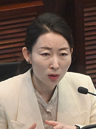 <span class="mw-page-title-main">Wendy Hong</span> Hong Kong politician