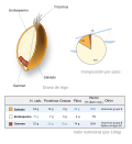 Miniatura para Grano integral