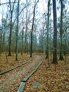 The William Bartram Arboretum is located inside Fort Toulouse-Jackson State Historic Site. William Bartram Arboretum Ft. Toulouse-Jackson, Alabama.JPG