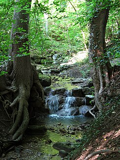 The Wolfbach between Bergstrasse and Ebelstrasse