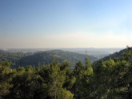 Typical landscape in the Jerusalem hills region