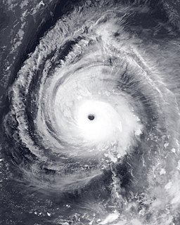 Typhoon Yagi (2006) Pacific typhoon in 2006