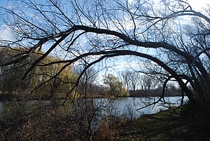 Yahara daryosi Viking Park.jpg