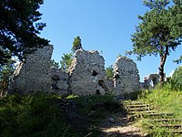 Zamek w Bydlinie (ruina)