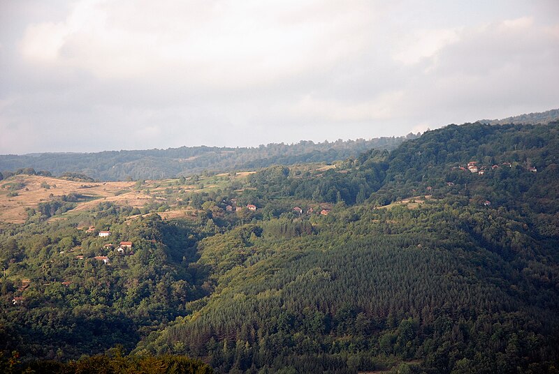 File:Zaseoci Mačkatice.JPG