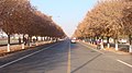 中国新疆乌鲁木齐市 China Xinjiang Urumqi, China Xinjiang Urumqi - panoramio (37).jpg