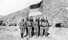 Soldiers of the Sharif of Mecca carrying the Arab Flag during the Arab Revolt of 1916-1918. 030Arab.jpg