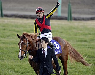 <span class="mw-page-title-main">Kenichi Ikezoe</span> Japanese jockey