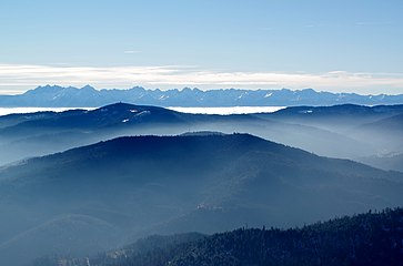 Widok z wieży na Tatry