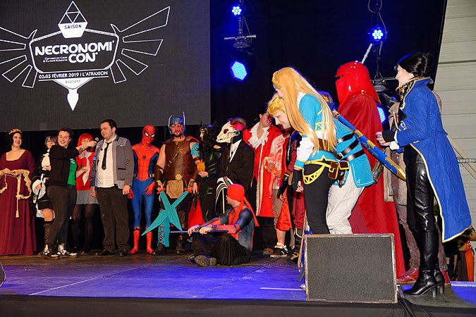 Coupe de France de Cosplay.