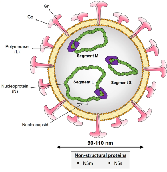 File:41541 2020 218 Fig1 HTML B.png