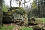 472R028-Katzenstein-Bayreuth-1.jpg