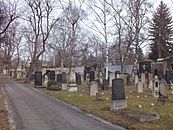 Teilansicht des Friedhofs