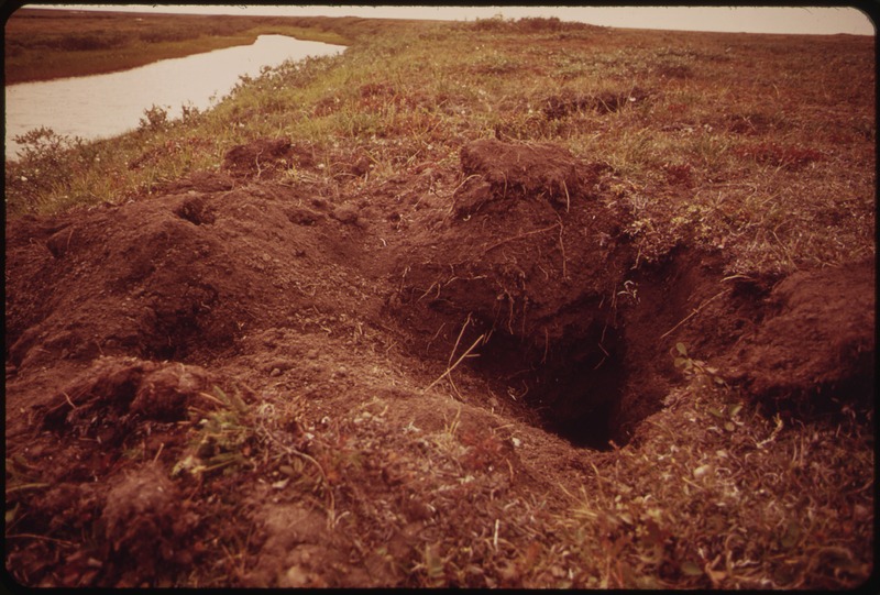 File:A PARKA SQUIRREL BURROWS NEAR THE WEST BANK OF THE SAGAVANIRKTOK RIVER. THE GROUND HAS BEEN PAWED UP BY A BARREN... - NARA - 550465.tif