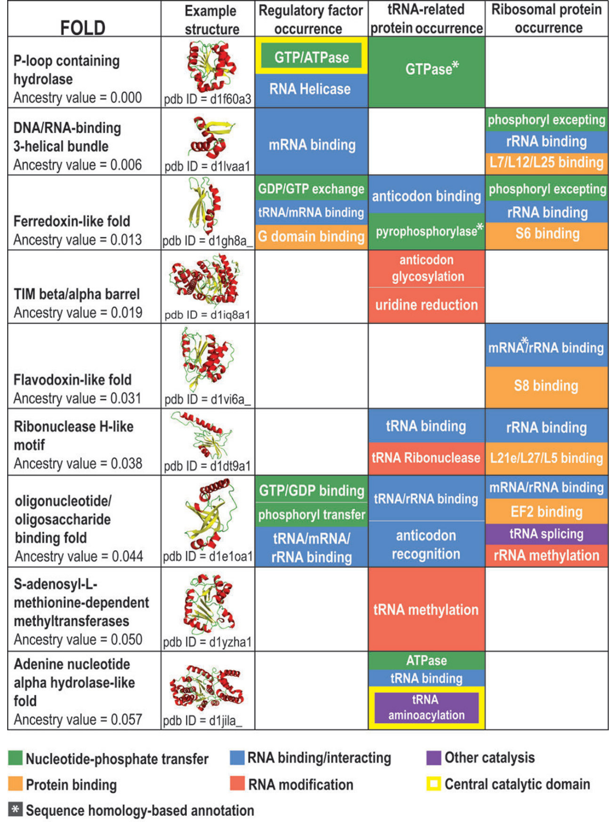 https://upload.wikimedia.org/wikipedia/commons/thumb/4/4c/A_summary_of_functional_annotation_of_the_most_ancestral_translation_protein_folds.svg/1200px-A_summary_of_functional_annotation_of_the_most_ancestral_translation_protein_folds.svg.png