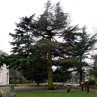 <span class="mw-page-title-main">Kings Heath Park</span>