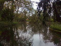 Lago Adderbury (extremo norte) (geografia 2935627) .jpg