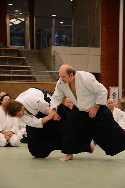 File:Aikido50se 1c566 7695.jpg